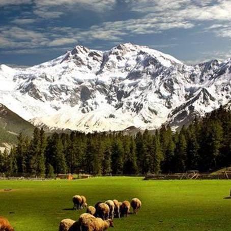 Pakistan Tour And Travel